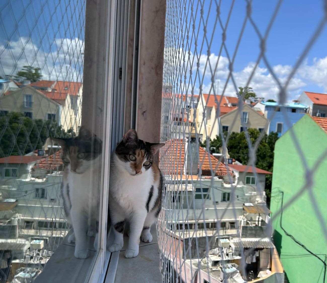 Design sem nome (23)